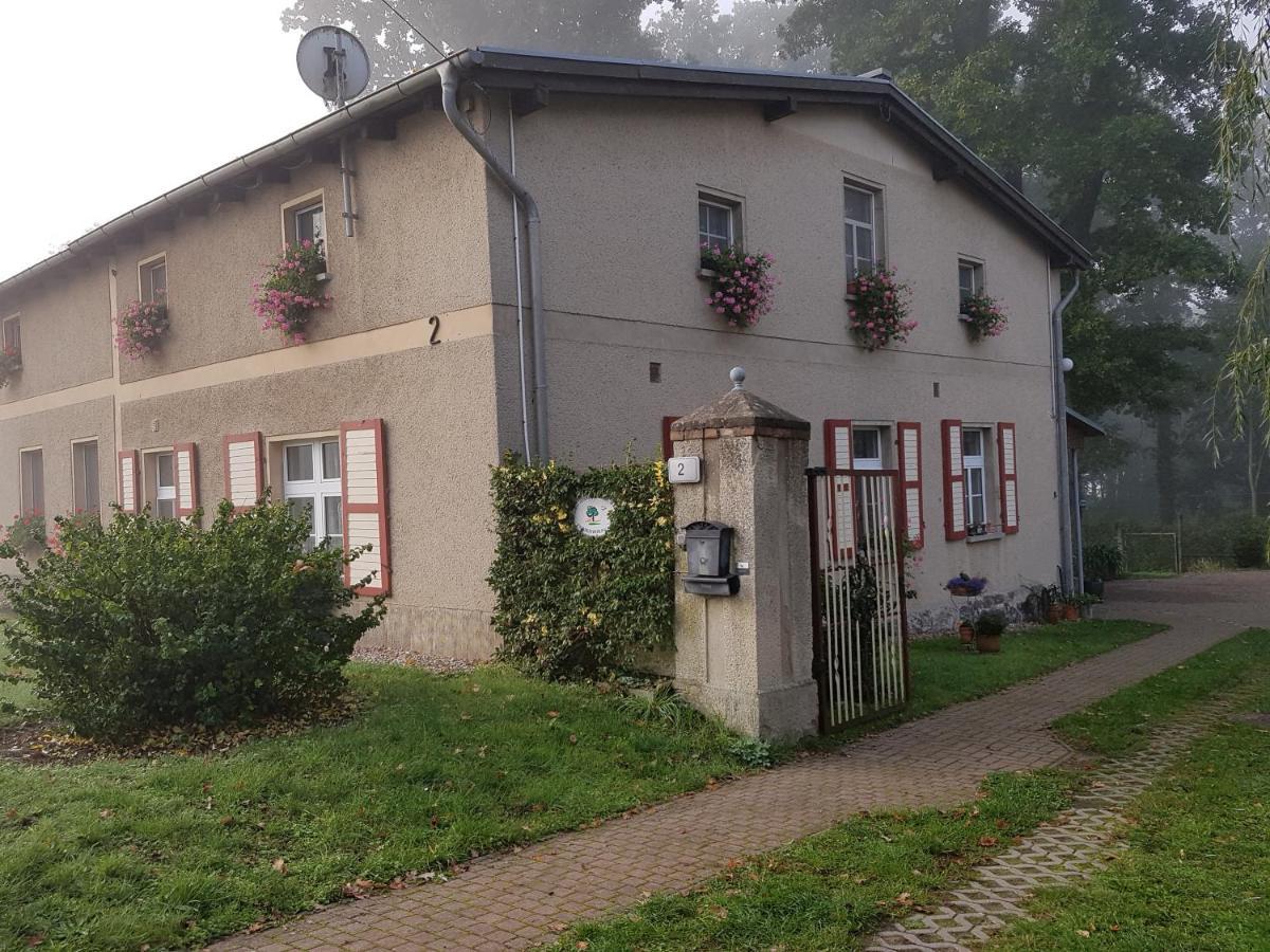 Ferienwohnung Siebmann Neuruppin Zewnętrze zdjęcie