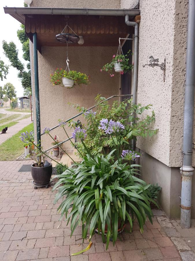 Ferienwohnung Siebmann Neuruppin Zewnętrze zdjęcie